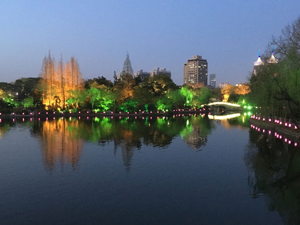 Park with light and trees